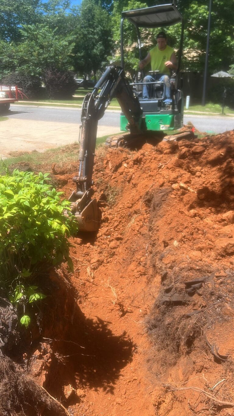 500547392_122098382102891423_6125464456862045455_n